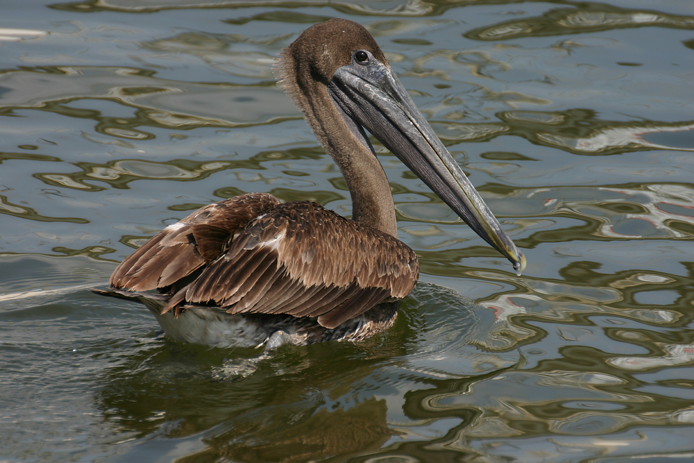 Biscayne National Park