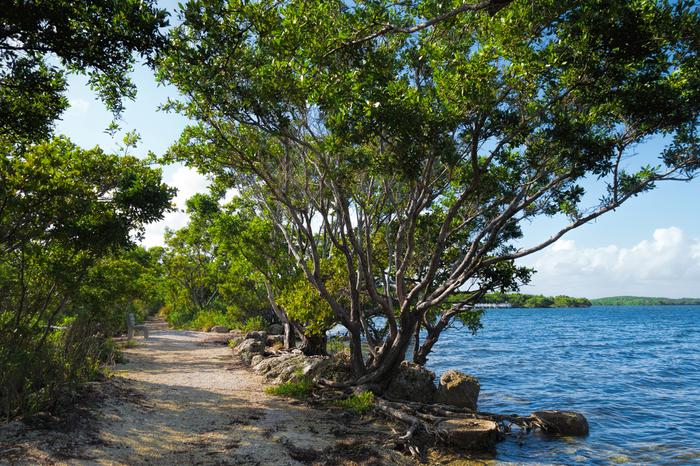 Biscayne National Park