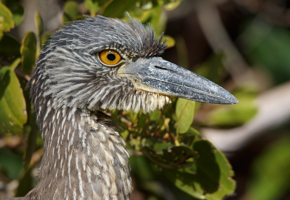 Biscayne National Park