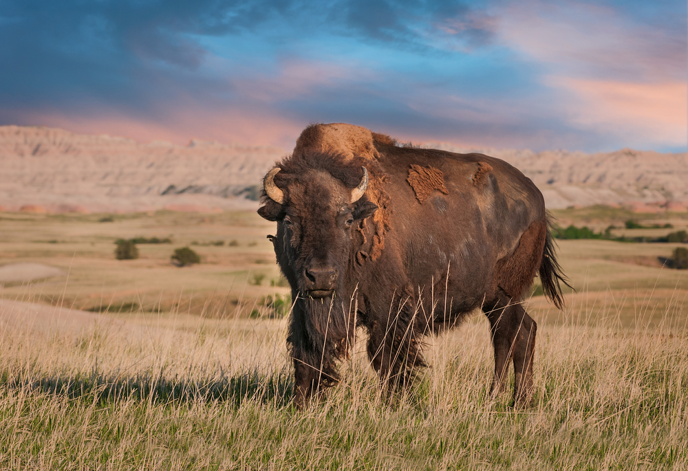 Badlands National Park