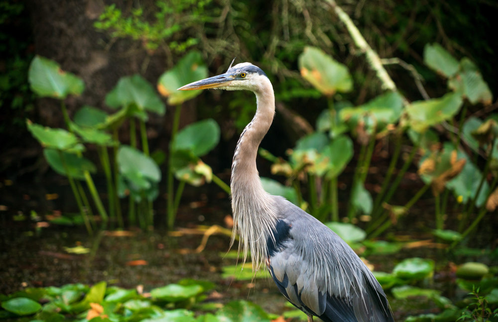 Cuyahoga Valley National Park