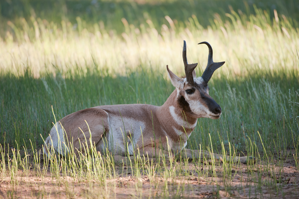 Bryce Canyon National Park
