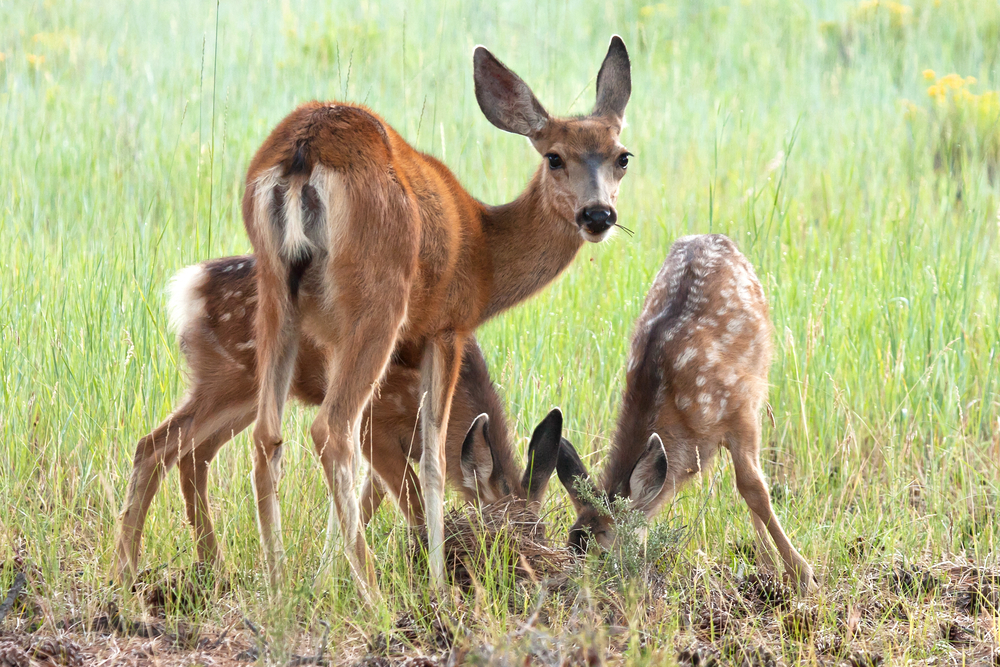 Bryce Canyon National Park