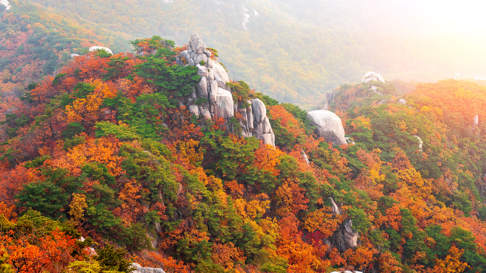 Bukhansan National Park