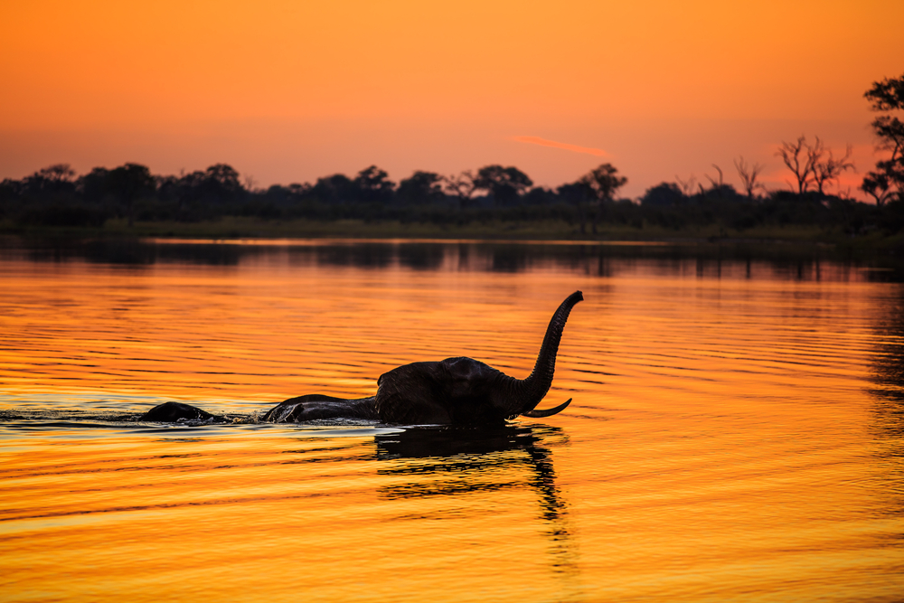 Bwabwata National Park
