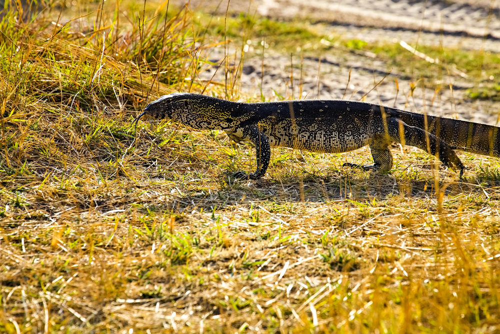 Bwabwata National Park