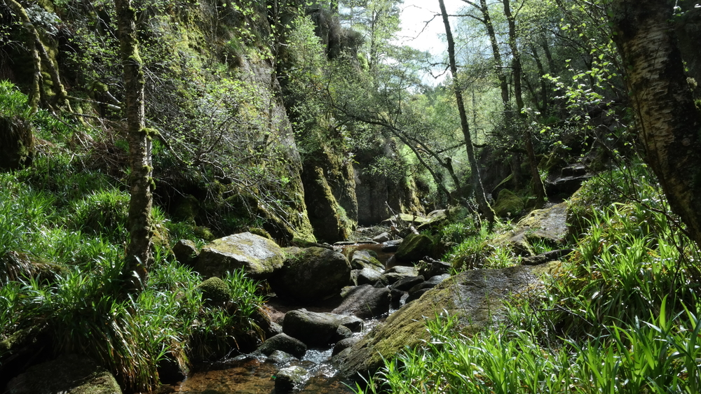 Cairngorms National Park