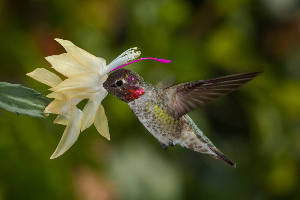 Canaima National Park