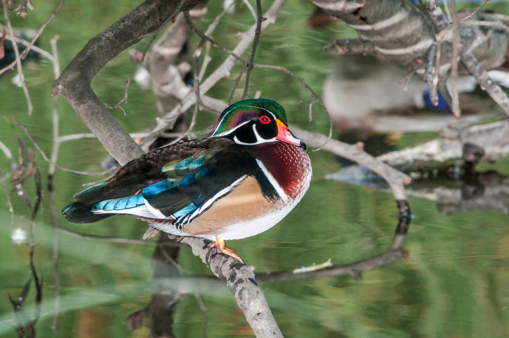 Canaima National Park