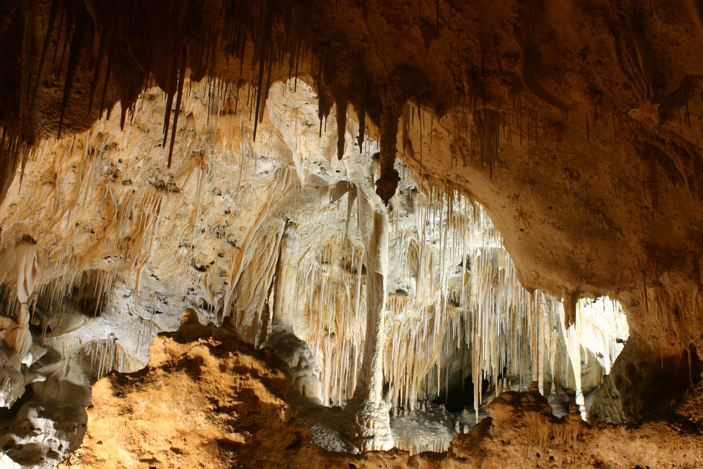 Carlsbad Caverns National Park