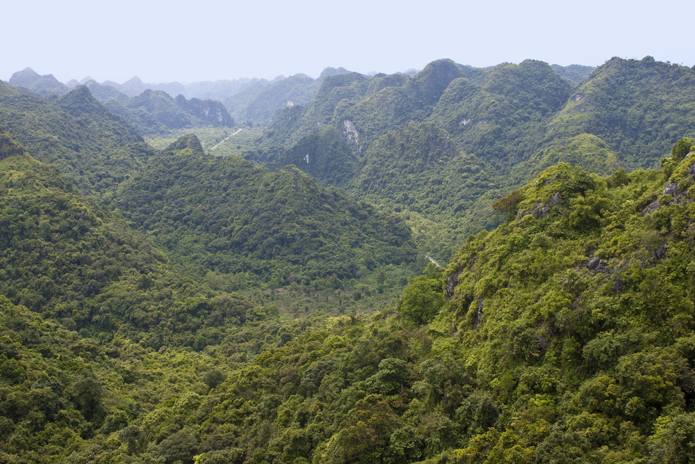 Cat Ba National Park