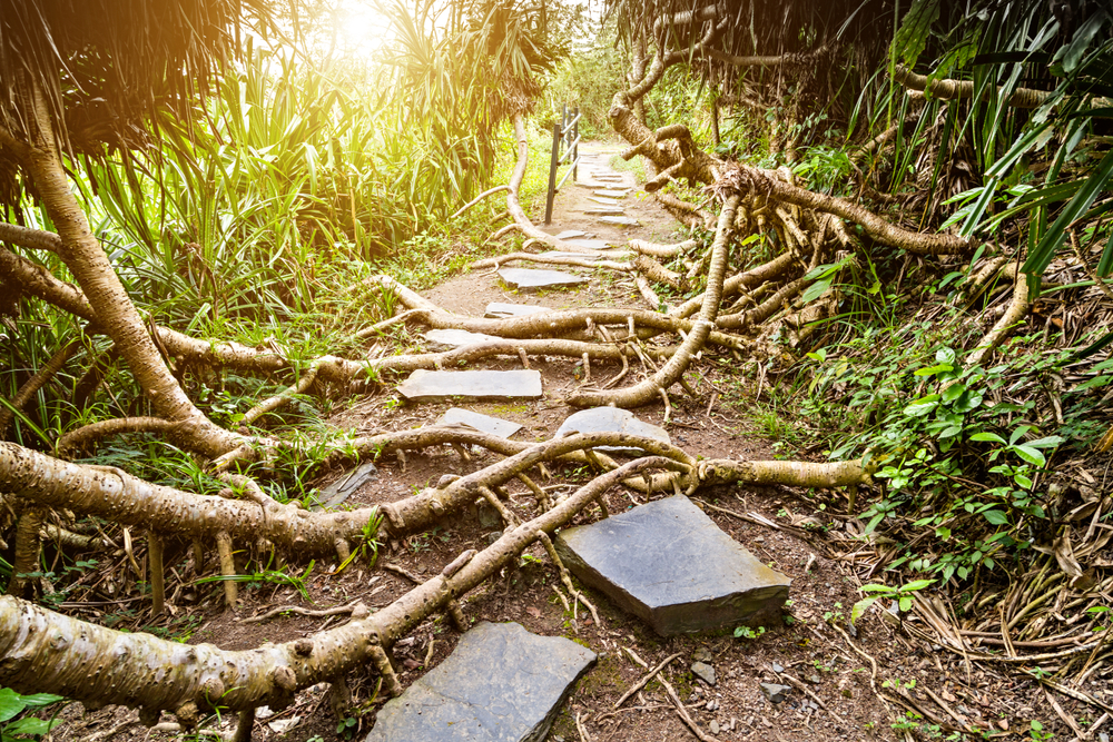 Cat Ba National Park