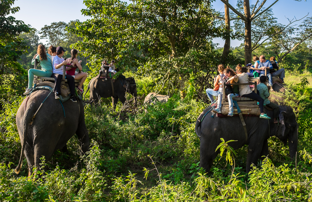 Chitwan National Park