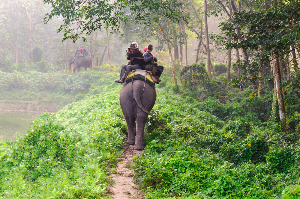 Chitwan National Park