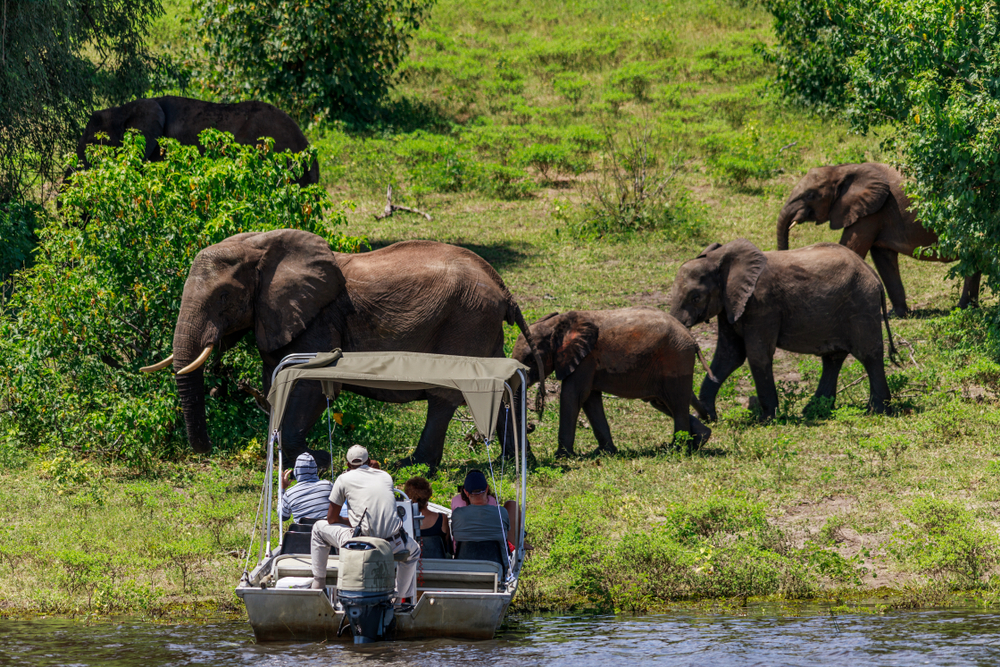 Chobe National Park