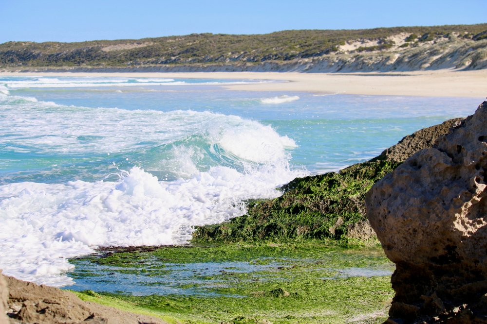 Coffin Bay National Park