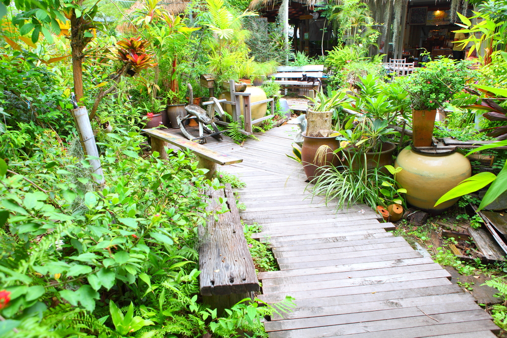 Congaree National Park