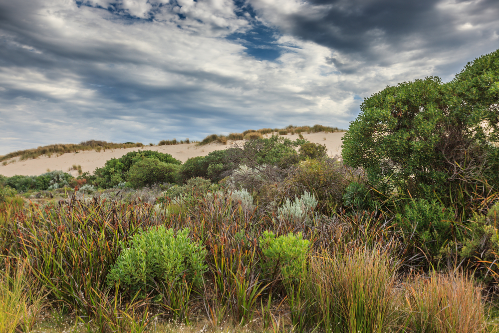 Coorong National Park