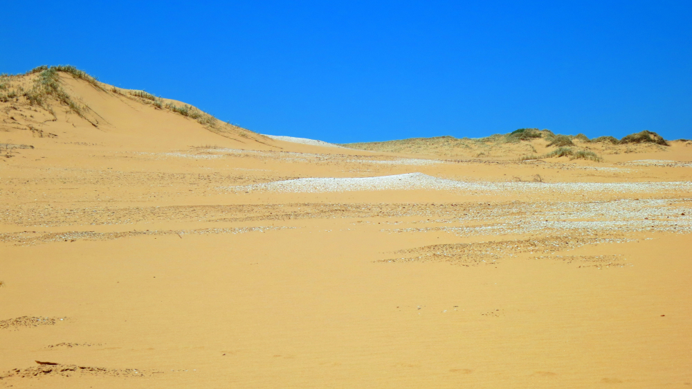 Coorong National Park