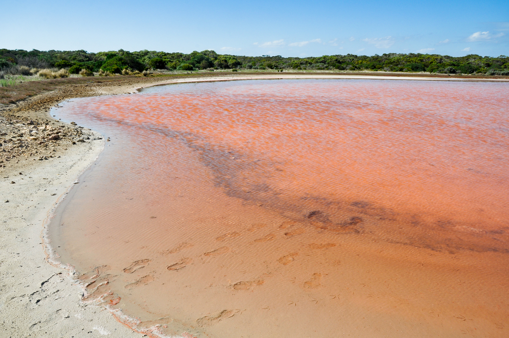 Coorong National Park