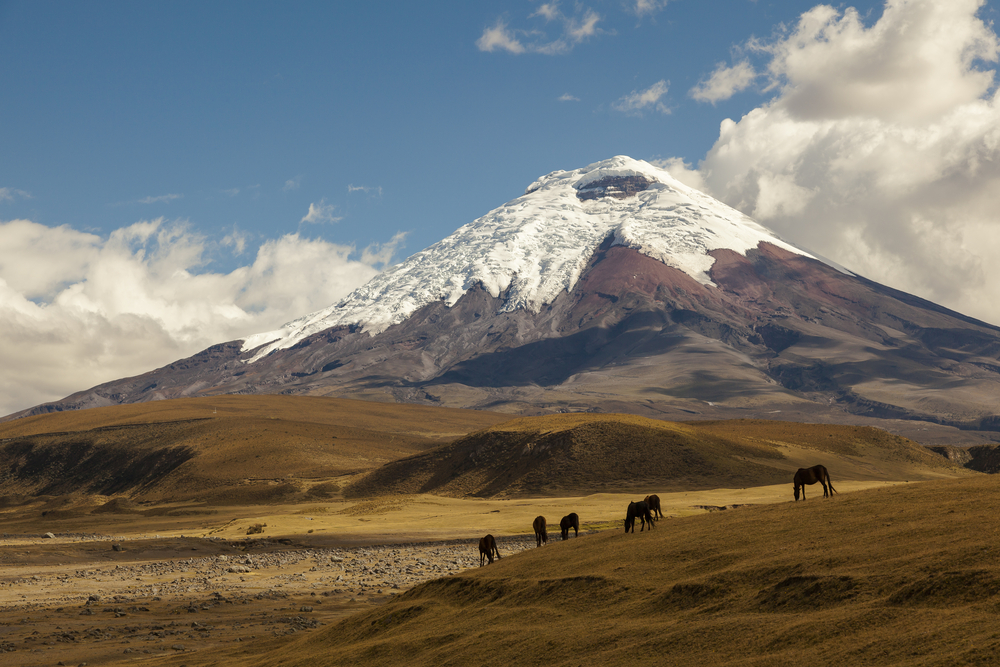 Cotopaxi National Park