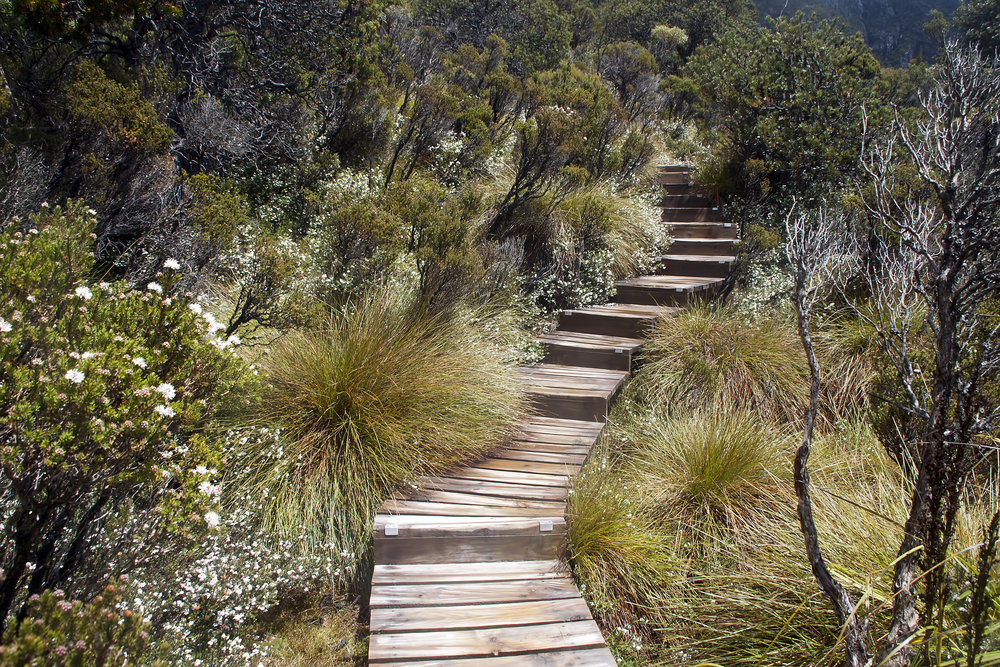 Cradle Mountain-Lake St. Clair