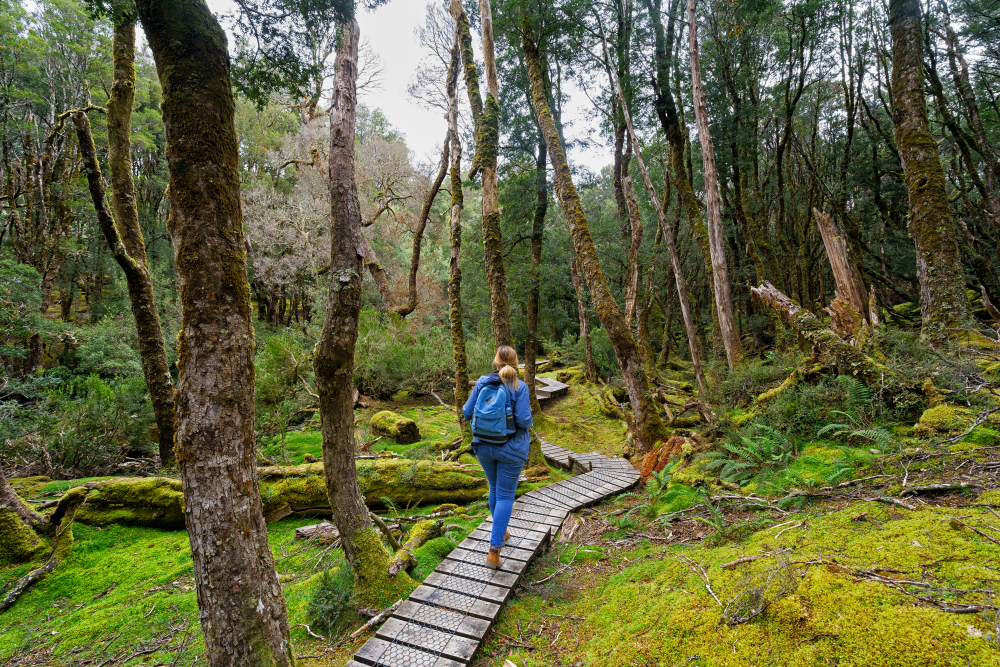 Cradle Mountain-Lake St. Clair