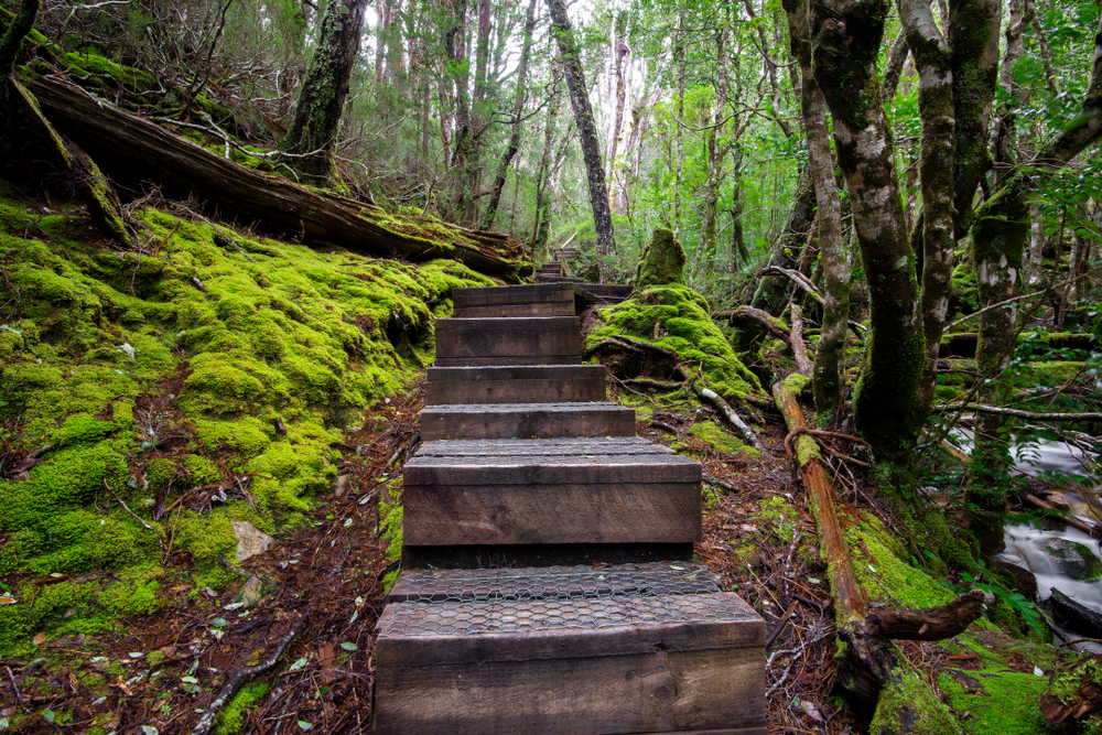 Cradle Mountain-Lake St. Clair