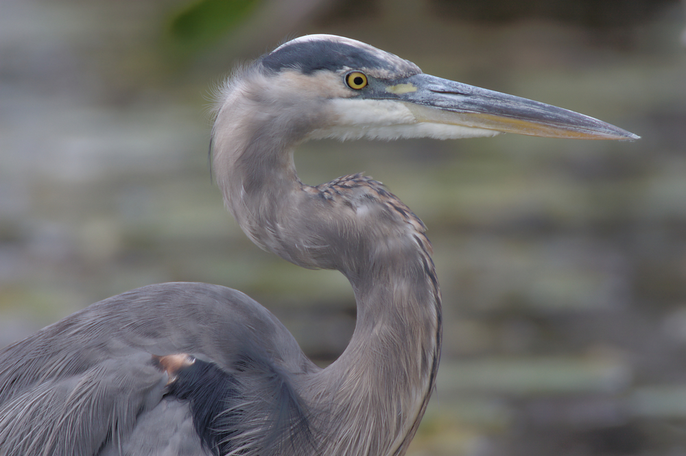 Cuyahoga Valley National Park