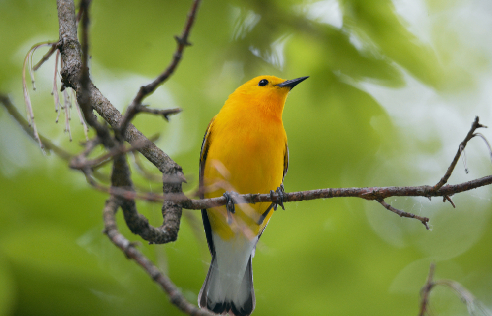 Cuyahoga Valley National Park