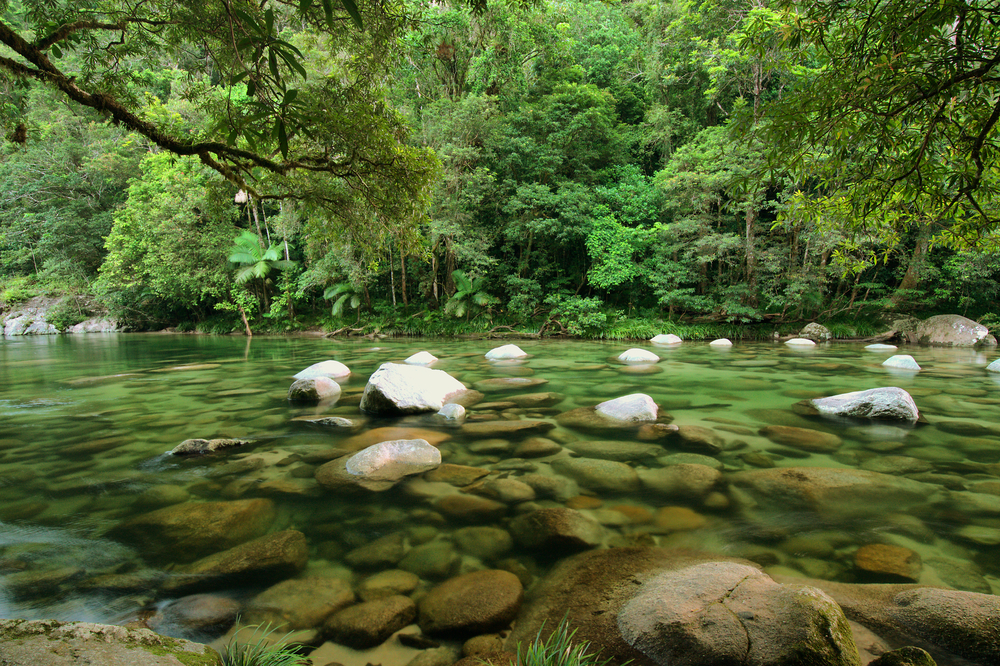 Daintree National Park