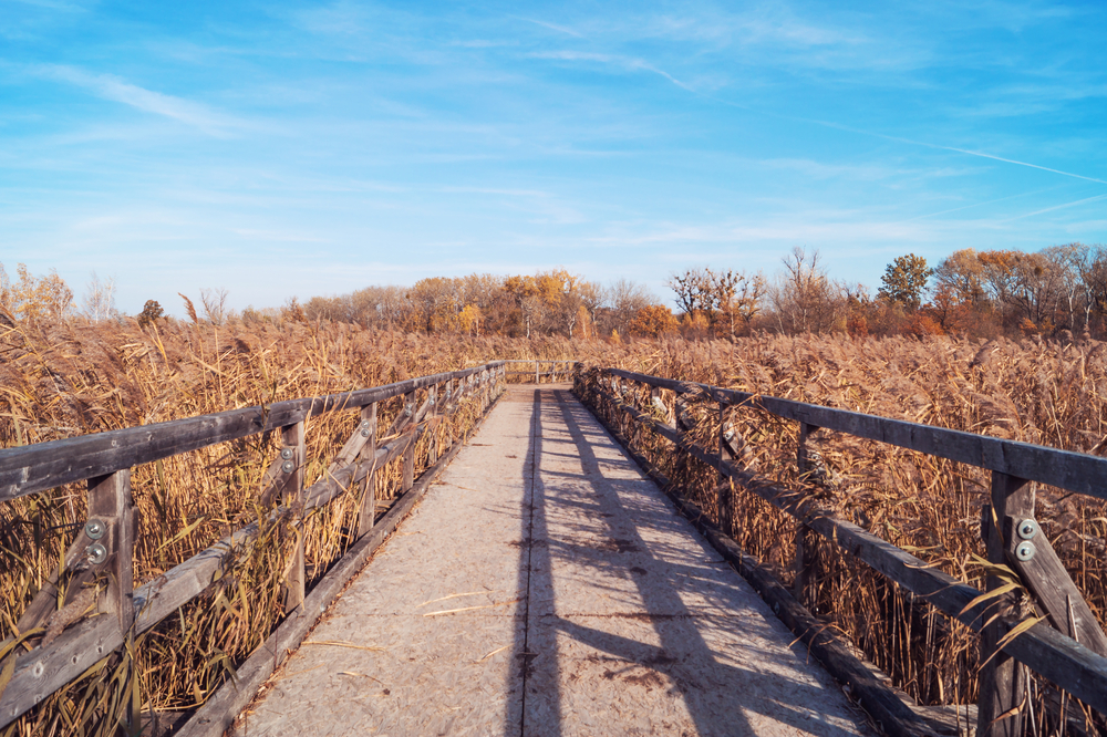Danube-Auen National Park