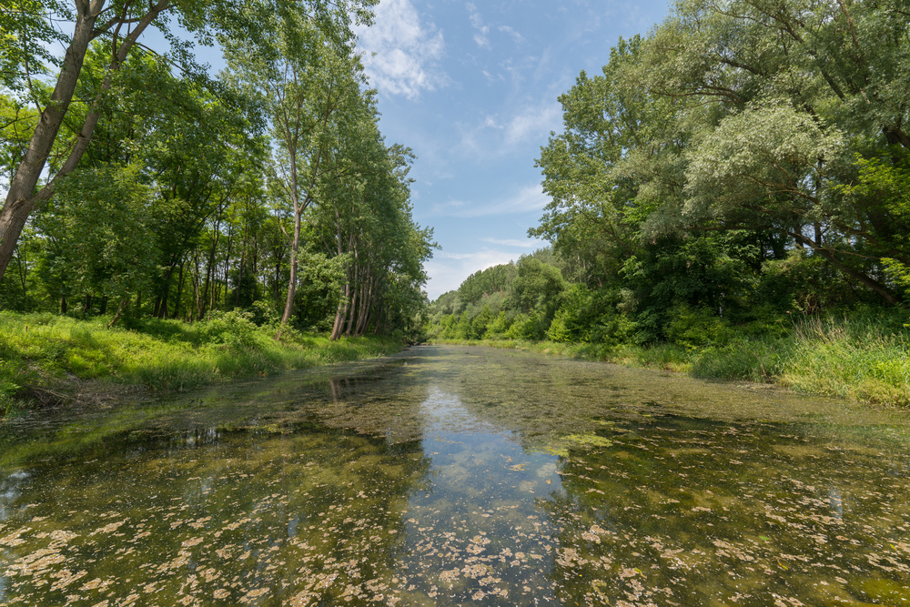 Danube-Auen National Park