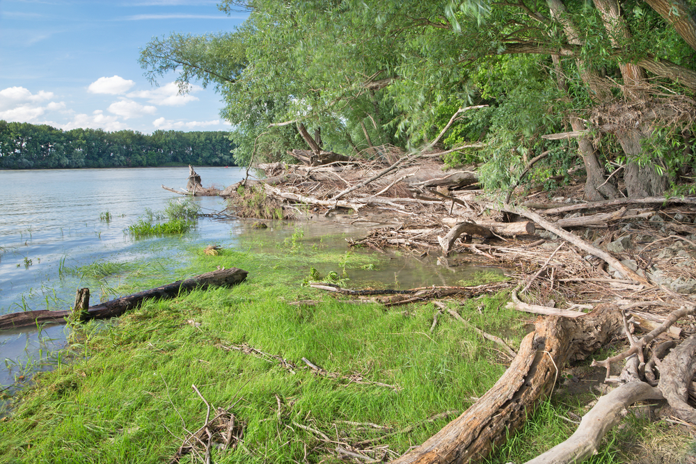 Danube-Auen National Park