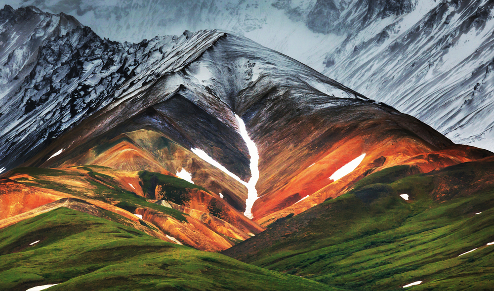 Denali National Park