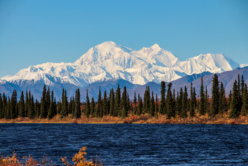 Denali National Park