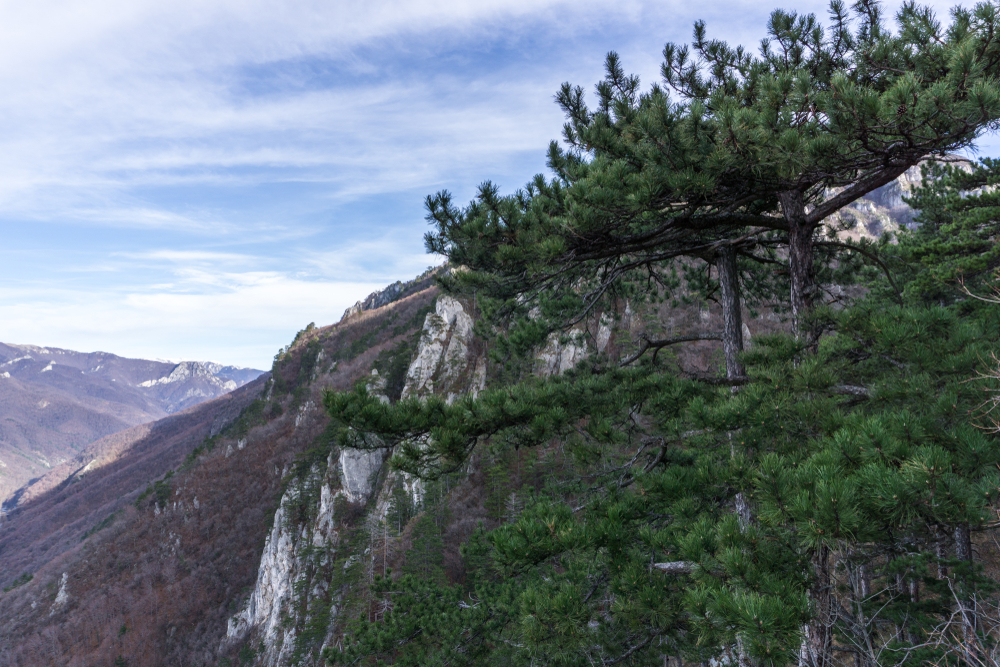 Domogled-Valea Cernei National Park
