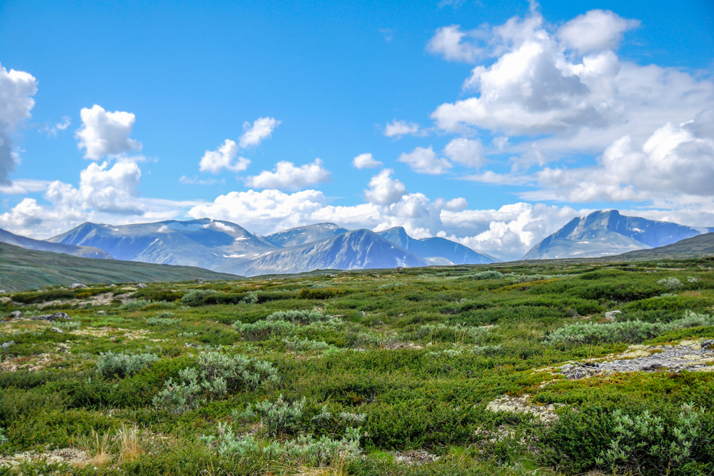 Dovrefjell-Sunndalsfjella National Park