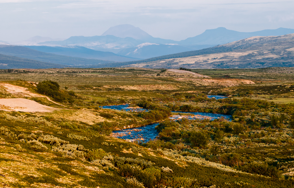 Dovrefjell-Sunndalsfjella National Park