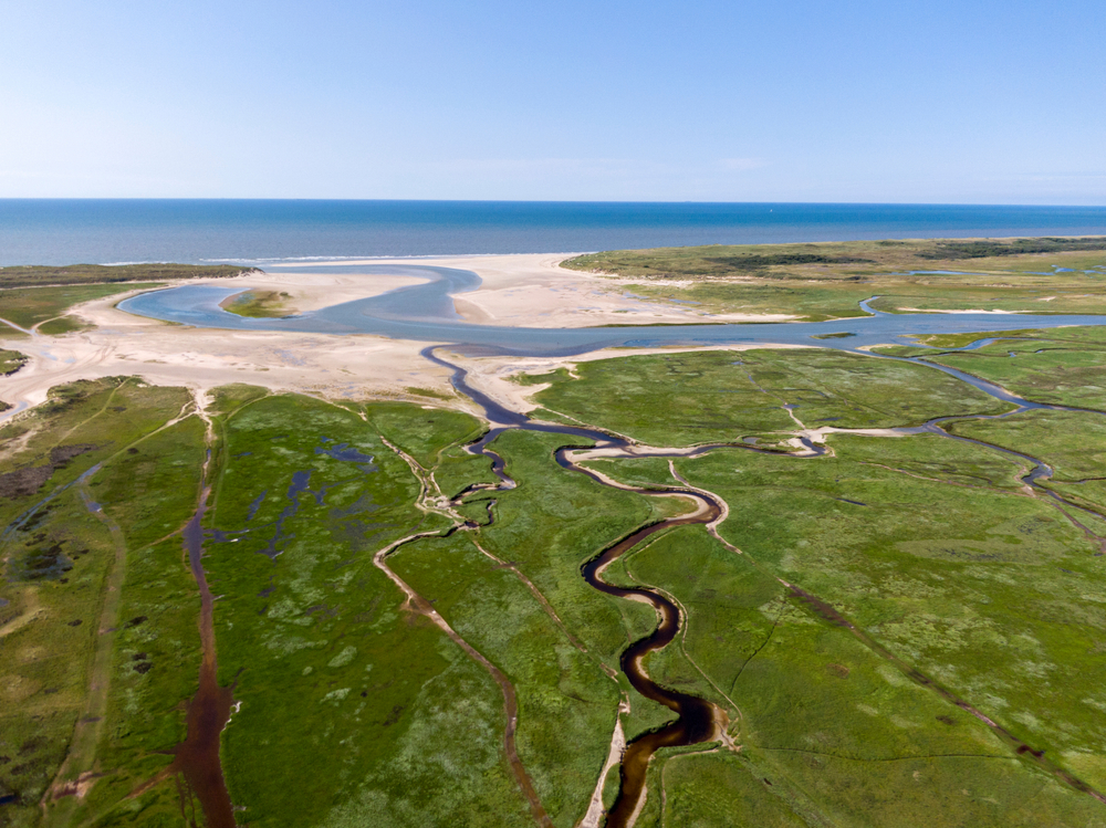Dunes of Texel National Park