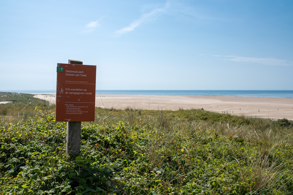 Dunes of Texel National Park