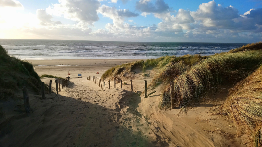 Dunes of Texel National Park