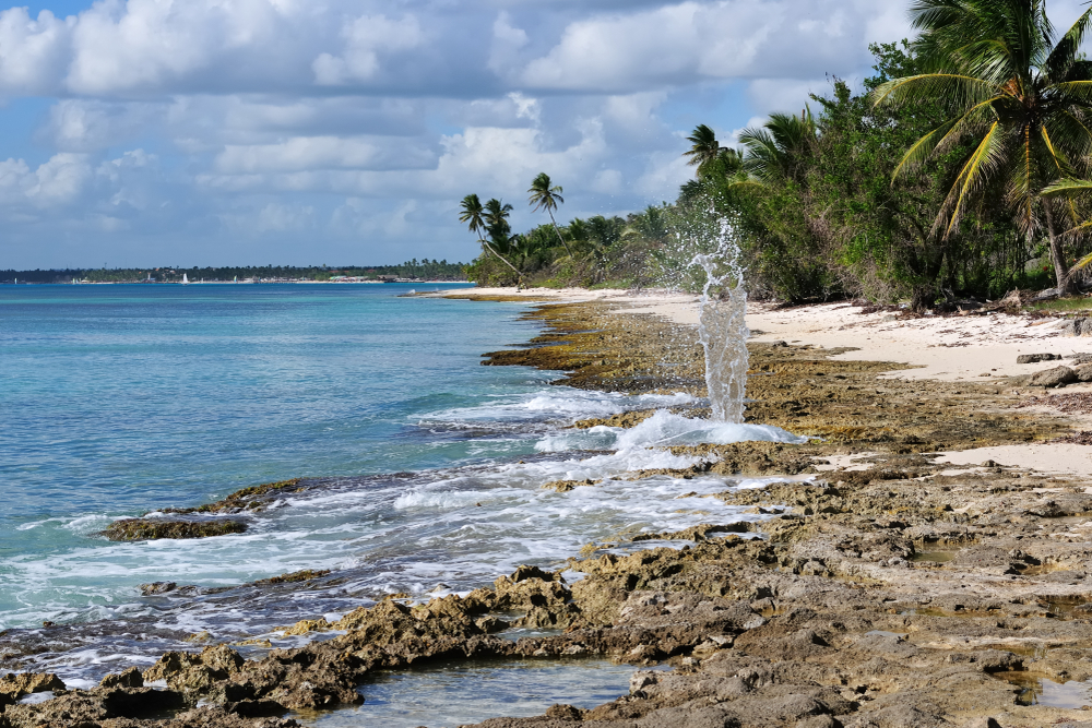National Park of the East