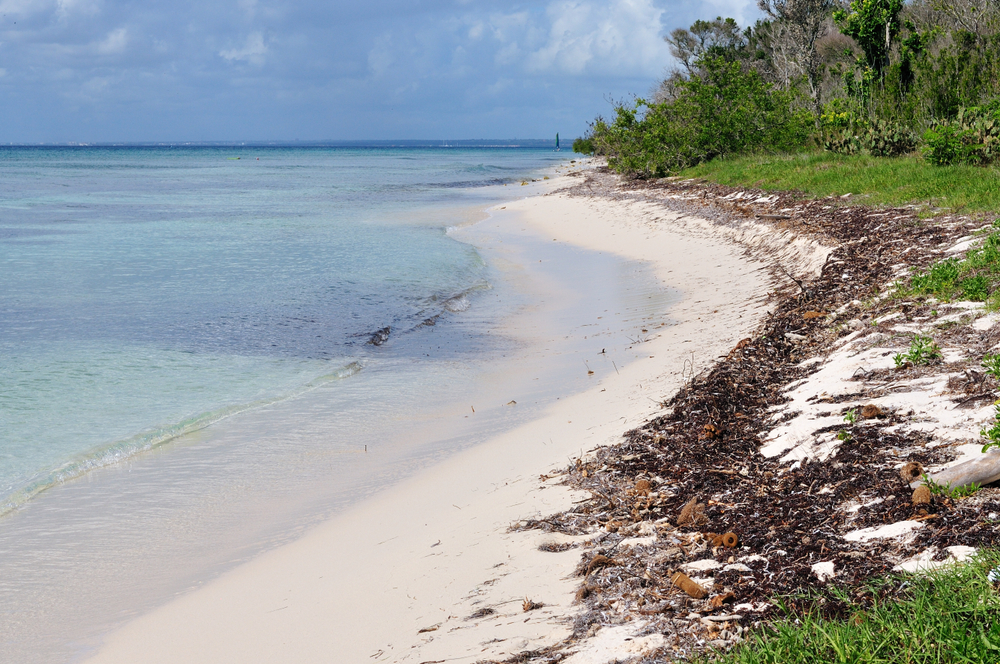 National Park of the East