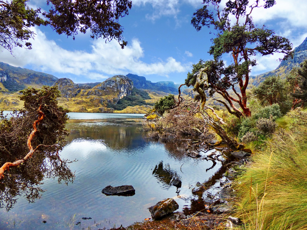 El Cajas National Park