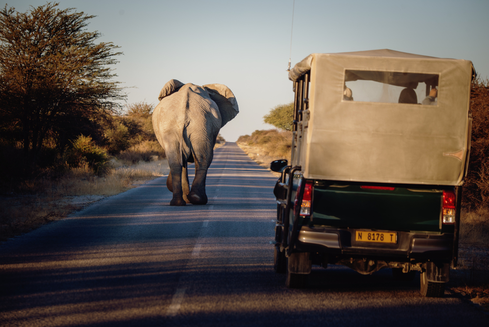 Etosha National Park