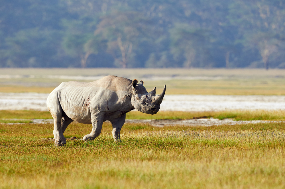 Etosha National Park