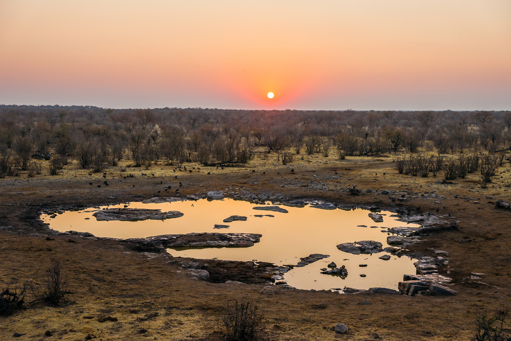 Etosha National Park