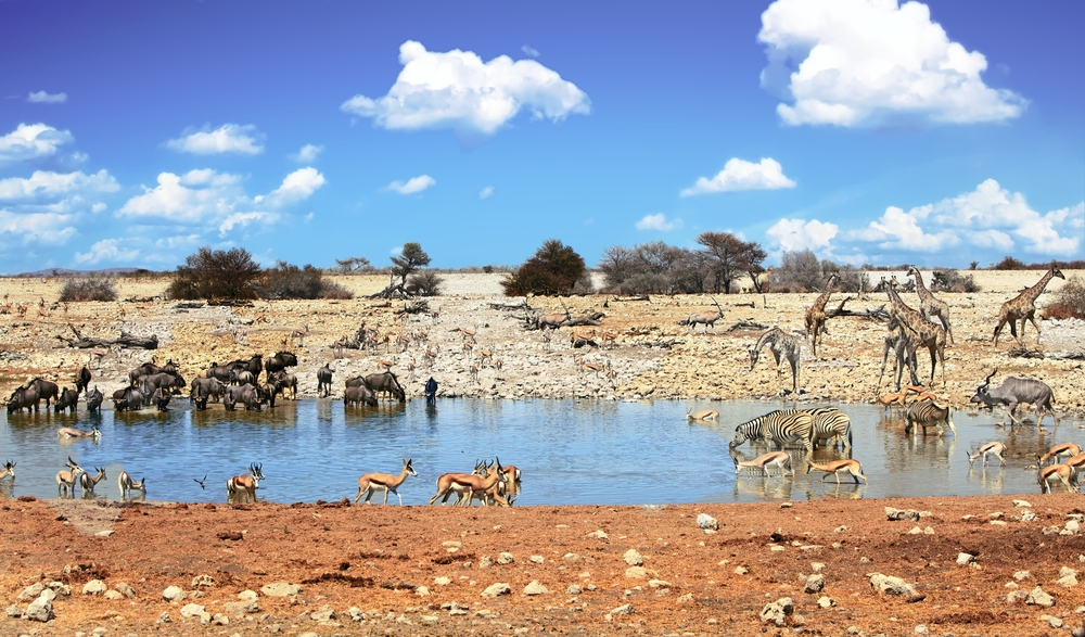 Etosha National Park