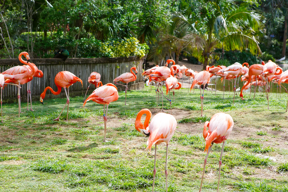 Everglades National Park